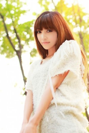 罚罪电视剧免费观看全集完整版